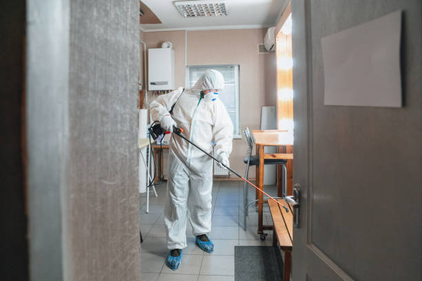 Best Asbestos and Lead Testing During Mold Inspection  in , NY