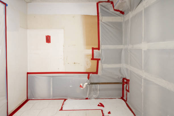 Best Industrial Mold Remediation  in , NY