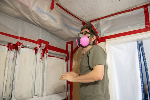 Best Mold Prevention Services  in , NY