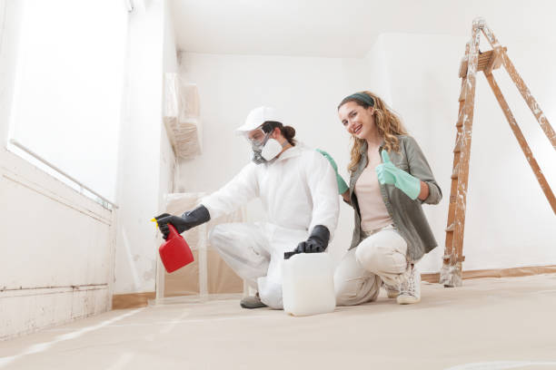 Best Asbestos and Lead Testing During Mold Inspection  in , NY